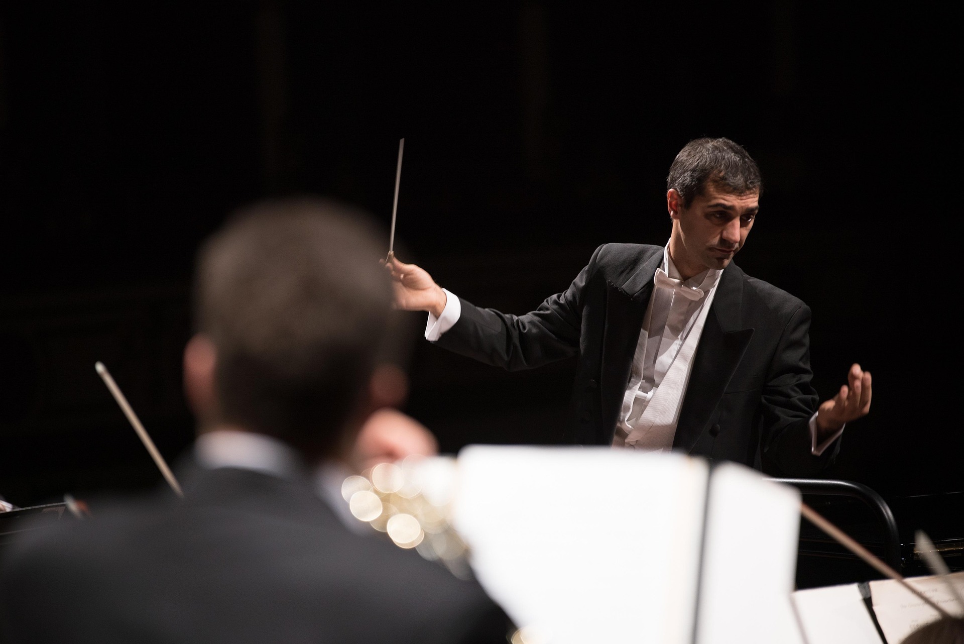 picture of the conductor of an orchestra
